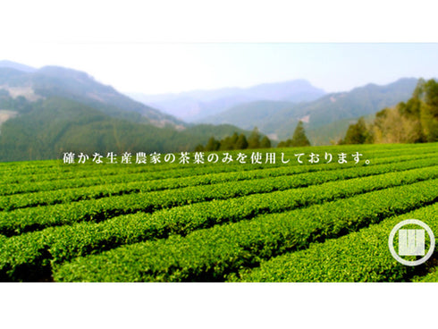 Thé vert genmaicha premium